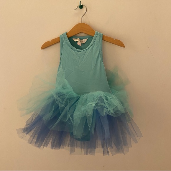 iloveplum Other - Tutu Dress - Ombre Blue